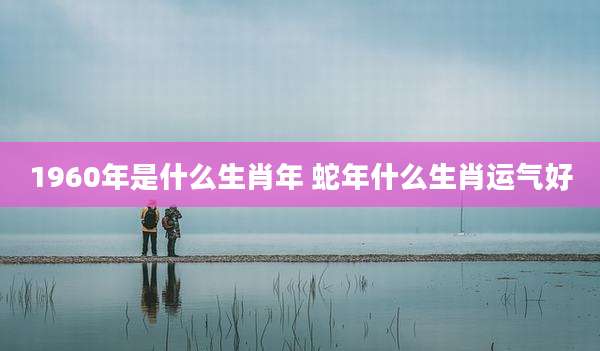 1960年是什么生肖年 蛇年什么生肖运气好