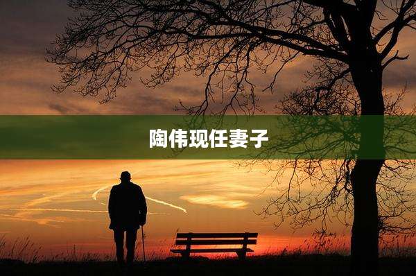 陶伟现任妻子
