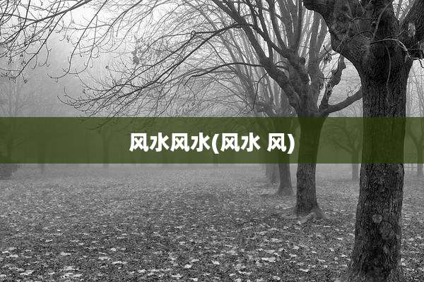 风水风水(风水 风)