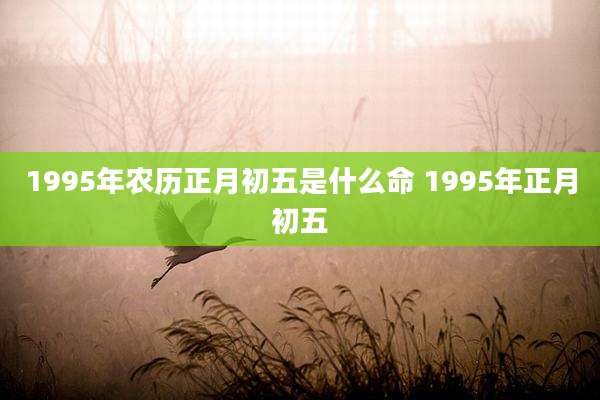 1995年农历正月初五是什么命 1995年正月初五