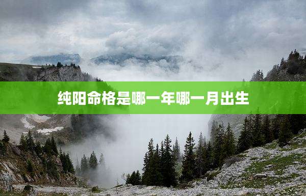 纯阳命格是哪一年哪一月出生