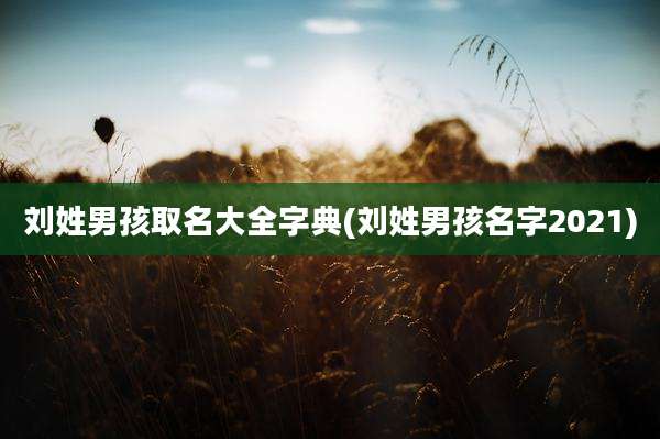 刘姓男孩取名大全字典(刘姓男孩名字2021)