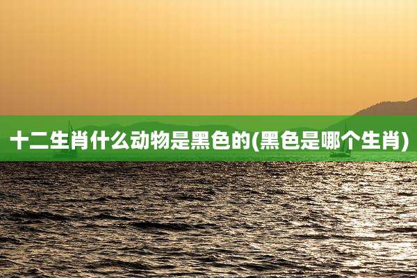 十二生肖什么动物是黑色的(黑色是哪个生肖)