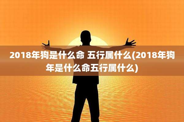 2018年狗是什么命 五行属什么(2018年狗年是什么命五行属什么)
