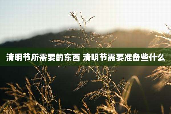 清明节所需要的东西 清明节需要准备些什么