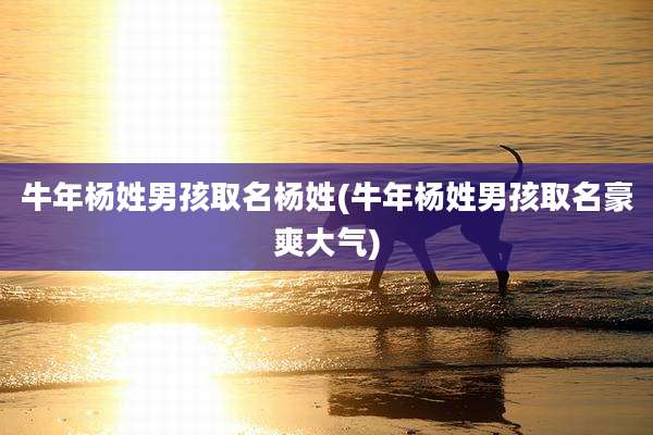 牛年杨姓男孩取名杨姓(牛年杨姓男孩取名豪爽大气)