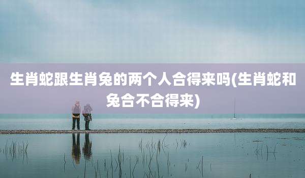 生肖蛇跟生肖兔的两个人合得来吗(生肖蛇和兔合不合得来)