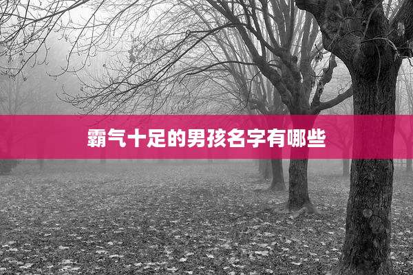 霸气十足的男孩名字有哪些