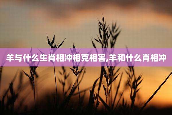 羊与什么生肖相冲相克相害,羊和什么肖相冲