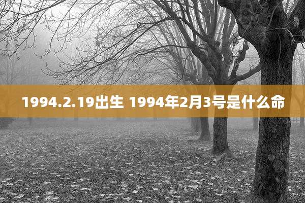 1994.2.19出生 1994年2月3号是什么命