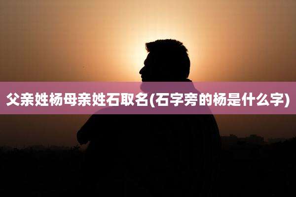 父亲姓杨母亲姓石取名(石字旁的杨是什么字)