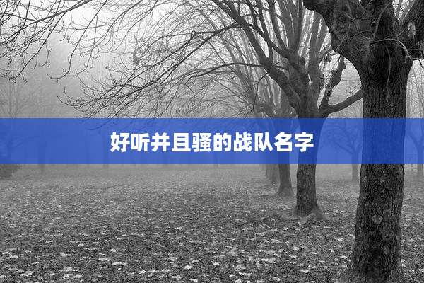 好听并且骚的战队名字