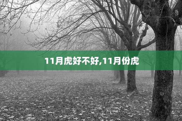 11月虎好不好,11月份虎