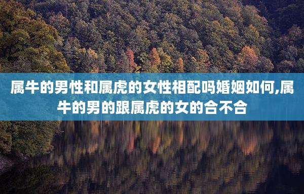 属牛的男性和属虎的女性相配吗婚姻如何,属牛的男的跟属虎的女的合不合