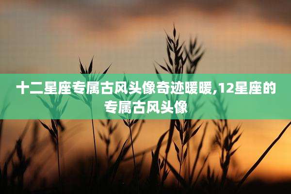 十二星座专属古风头像奇迹暖暖,12星座的专属古风头像
