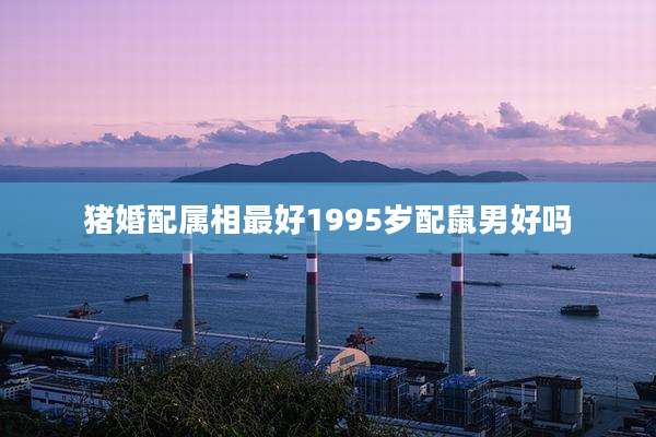 猪婚配属相最好1995岁配鼠男好吗