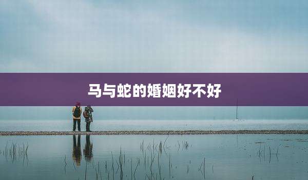 马与蛇的婚姻好不好