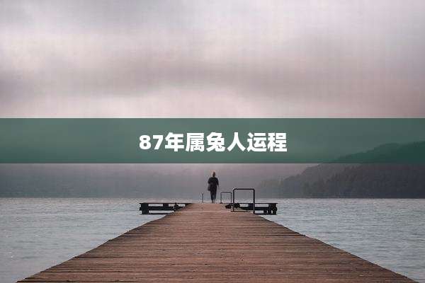 87年属兔人运程