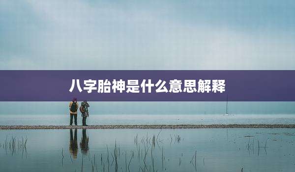 八字胎神是什么意思解释