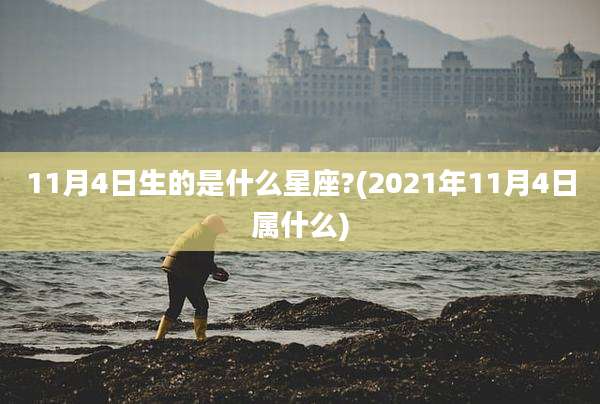 11月4日生的是什么星座?(2021年11月4日属什么)