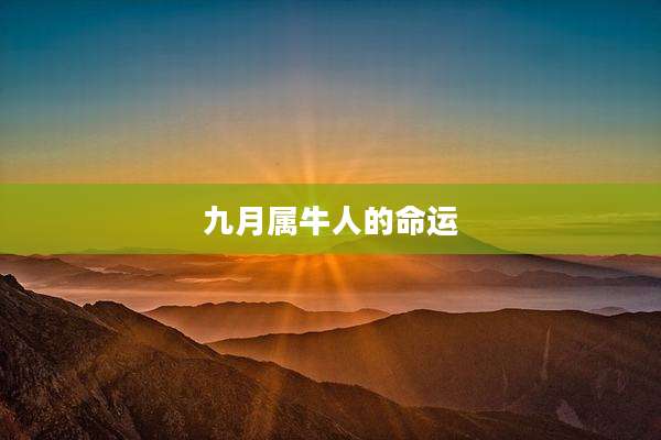 九月属牛人的命运