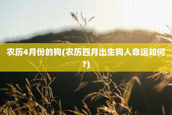农历4月份的狗(农历四月出生狗人命运如何?)