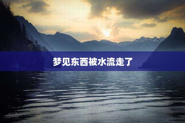 梦见东西被水流走了
