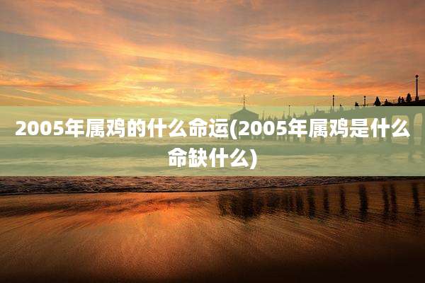 2005年属鸡的什么命运(2005年属鸡是什么命缺什么)