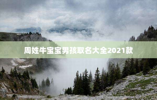 周姓牛宝宝男孩取名大全2021款