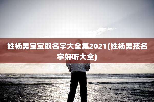 姓杨男宝宝取名字大全集2021(姓杨男孩名字好听大全)