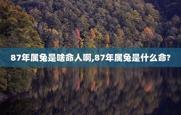 87年属兔是啥命人啊,87年属兔是什么命?