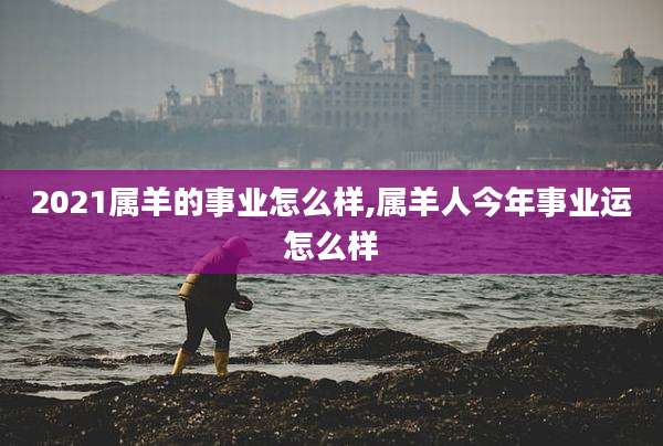2021属羊的事业怎么样,属羊人今年事业运怎么样