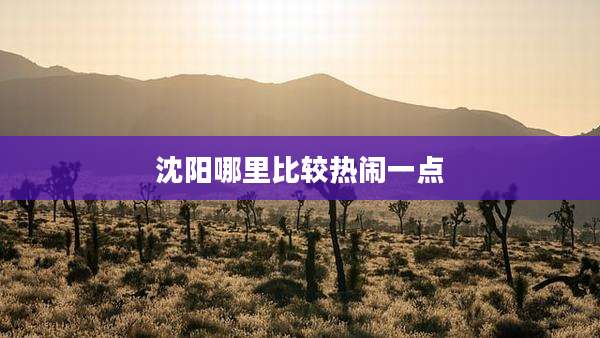 沈阳哪里比较热闹一点