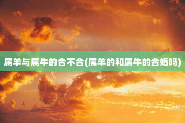 属羊与属牛的合不合(属羊的和属牛的合婚吗)