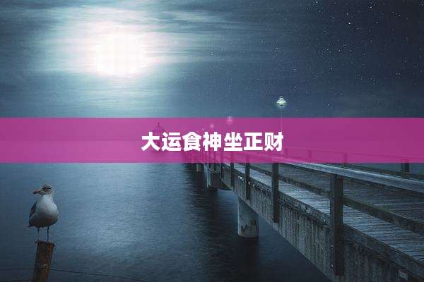 大运食神坐正财