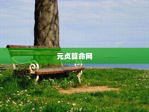 元贞算命网