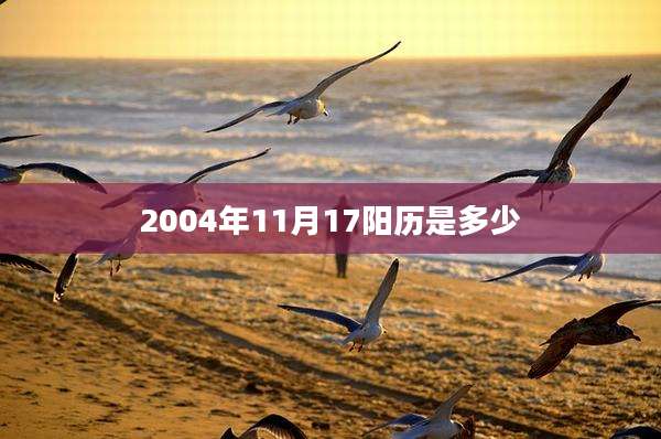 2004年11月17阳历是多少