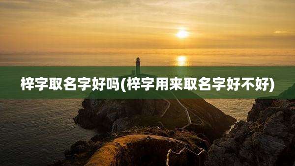 梓字取名字好吗(梓字用来取名字好不好)