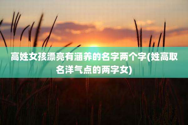 高姓女孩漂亮有涵养的名字两个字(姓高取名洋气点的两字女)