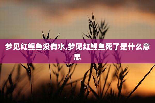 梦见红鲤鱼没有水,梦见红鲤鱼死了是什么意思