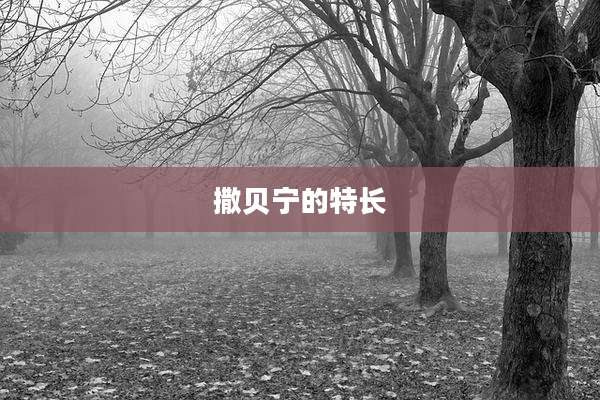 撒贝宁的特长