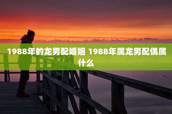 1988年的龙男配婚姻 1988年属龙男配偶属什么