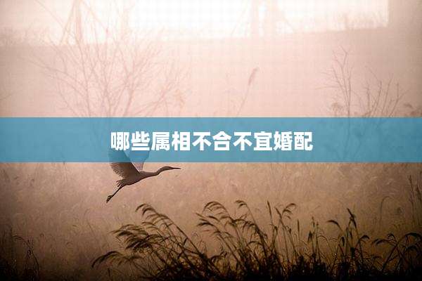 哪些属相不合不宜婚配