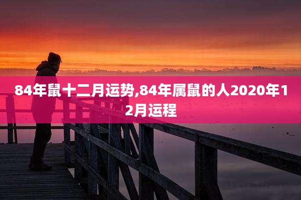84年鼠十二月运势,84年属鼠的人2020年12月运程