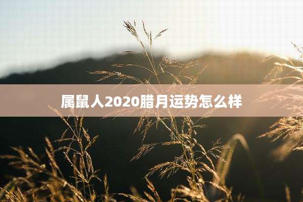 属鼠人2020腊月运势怎么样