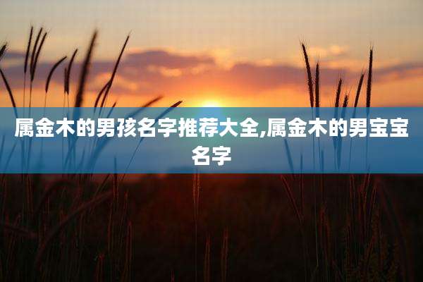 属金木的男孩名字推荐大全,属金木的男宝宝名字