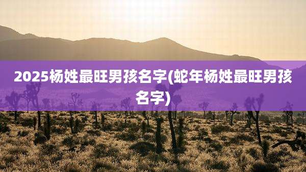 2025杨姓最旺男孩名字(蛇年杨姓最旺男孩名字)