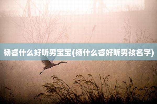 杨睿什么好听男宝宝(杨什么睿好听男孩名字)