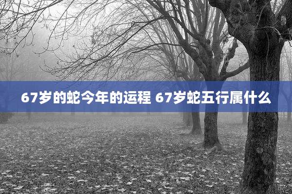 67岁的蛇今年的运程 67岁蛇五行属什么