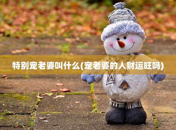 特别宠老婆叫什么(宠老婆的人财运旺吗)